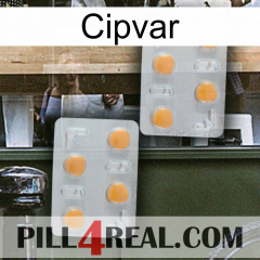 Cipvar 25